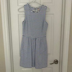 Jcrew blue and white daybreak dress